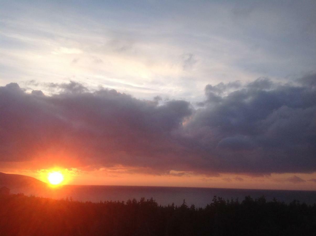 Burton'S Sunset Oasis Motel Bay Saint Lawrence Εξωτερικό φωτογραφία